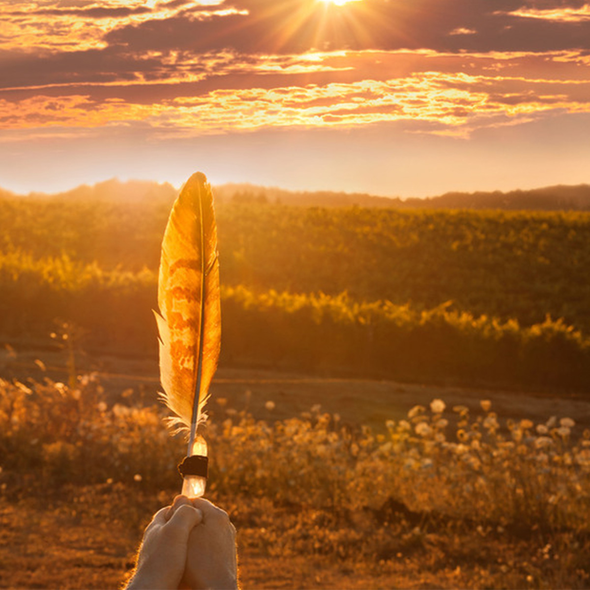 Healing-Page-Cermemonial-Healing